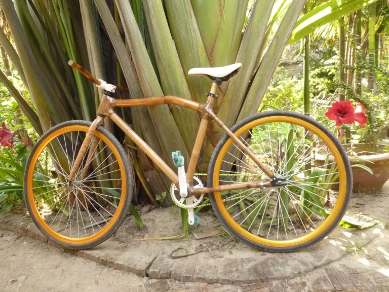 Pedaling Toward Sustainability: The Rise of Bamboo Bicycles in Eco-Tourism
