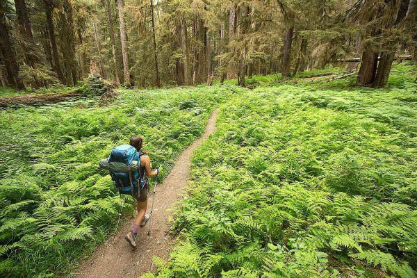 Noctourism, Embracing the Night for Unique Travel Experiences in 2025″