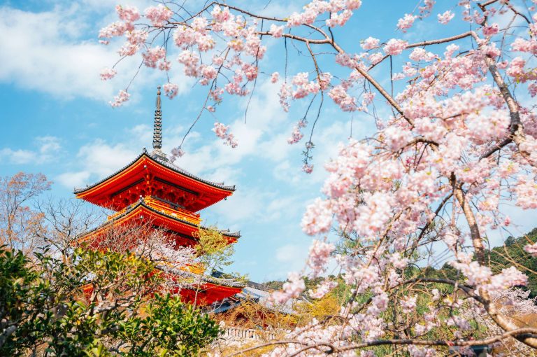 Discovering Kyoto Alone, A Solo Traveler’s Cultural Dream