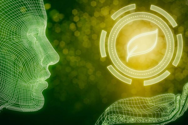 AI-Powered Sustainability, How Artificial Intelligence Is Revolutionizing Eco-Friendly Travel in 2025