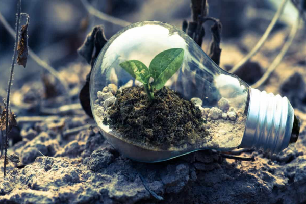 Eco-Friendly Travel, Embracing Sustainable Practices for a Greener Future