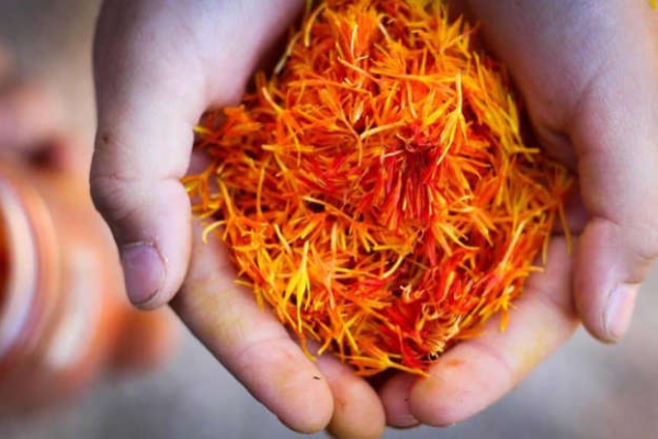Tracing the Journey of Saffron, Culinary Travel Through the Spice of Kings