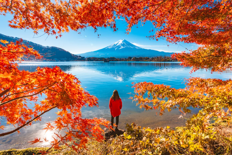 Autumn in Japan,  Planning the Ultimate Fall Foliage Escape with Trusted Insights